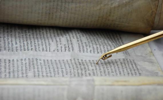 פרשת נצבים וילך: משה רבנו מראה כיצד מתנהג מחנך