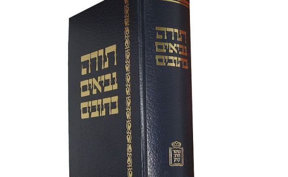 אני מתביישת: מעולם לא סיימתי לקרוא את כל התנ"ך