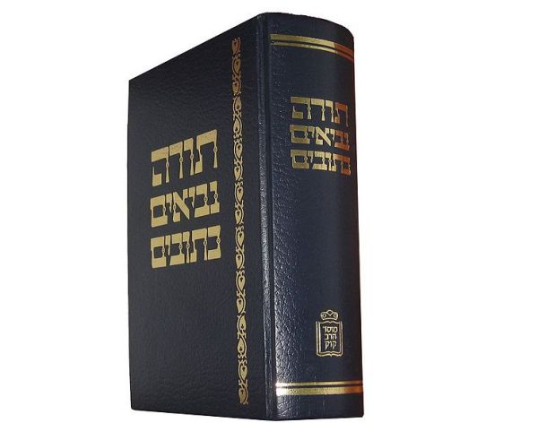 אני מתביישת: מעולם לא סיימתי לקרוא את כל התנ"ך