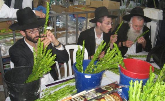 גלריית תמונות: שוק ארבעת המינים בירושלים