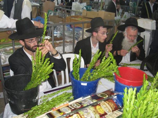 גלריית תמונות: שוק ארבעת המינים בירושלים