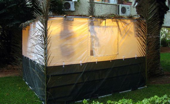 פטיש מסמר: מילון המונחים השלם של בניית הסוכה