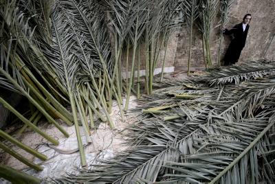 לא צריך לקטוף: מוקדי חלוקת סכך בחינם בכל הארץ