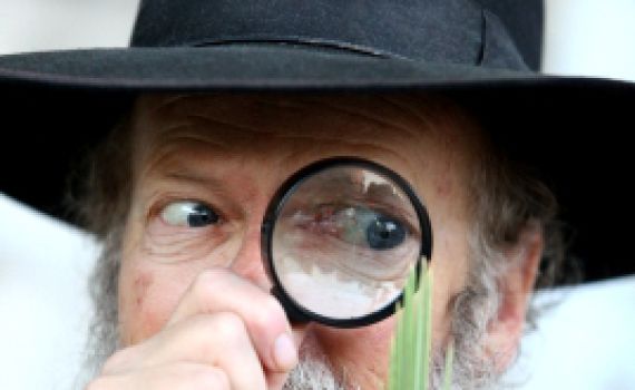 סיפור נאה לסוכות: למה לולב צריך אגד