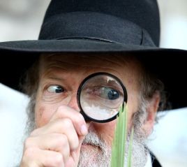 סיפור חסידי לסוכות: לולב צריך אגד