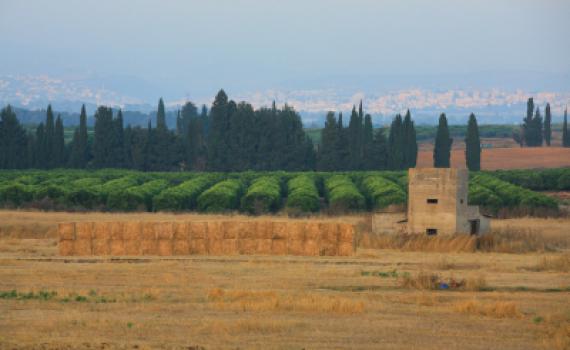 לימודי ארץ ישראל במכון לנדר: הכל כלול