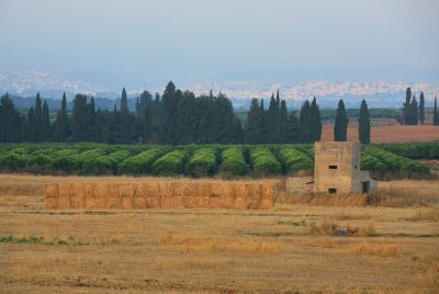 לימודי ארץ ישראל במכון לנדר: הכל כלול