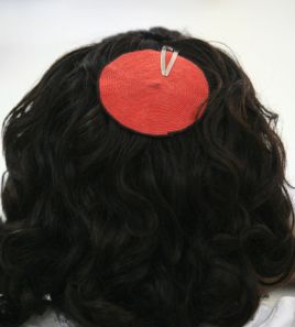 דעה: בניגוד לאדמת ולחזרת דתל"שת אינה מחלה