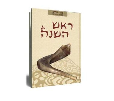 סדרת "באר מרים" צריכה לברר איך מודדים רלוונטיות?