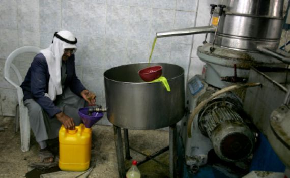 הרבנות: ל"שמן הישועות" של הרב איפרגן אין כשרות