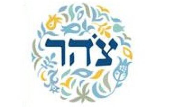 חוק 'צהר' עבר בקריאה טרומית, האיחוד הלאומי התנגד