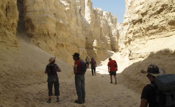 לטייל עם התנ"ך: באיזה דרך ירד יוסף מצרימה?