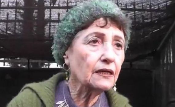 "גלעד בשבי הפרקליטות": יעל זר במאהל המחאה