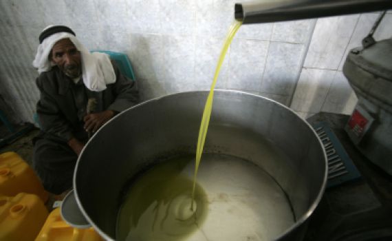 ערב חנוכה – איך מזהים שמן מזוייף?