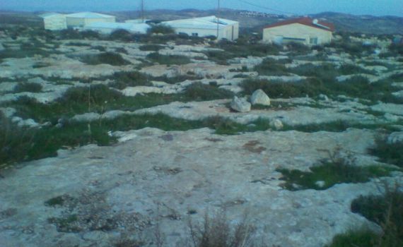 התמונה מוכיחה: אף אחד לא עיבד את אדמת מגרון מעולם!