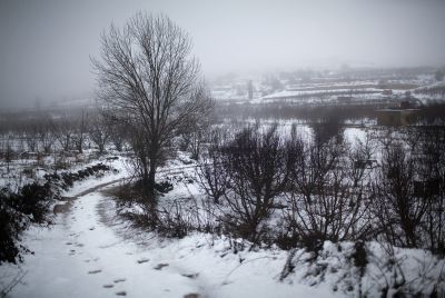 גשמי ברכה: הכנרת עלתה ב-11 ס"מ. מטר וחצי שלג בחרמון