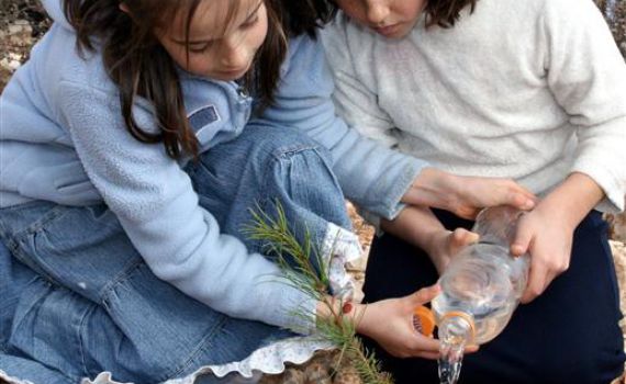 חג לאילנות: נעקרו מגוש קטיף וישתלו מחדש בישובי הקבע