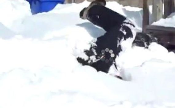 ככה עושים גלגולי שלג