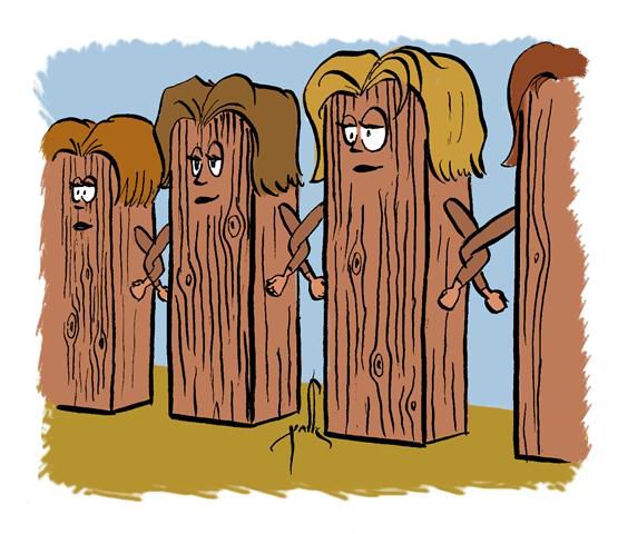 קריקטורה לכבוד שבת: פרשת תרומה