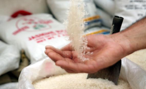 כשרות Fail: כנראה, זייפן הכשרות הכי טיפש בעולם