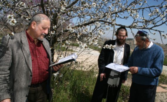 'בית הלל': להגיד את ברכת הגשמים עם ברכת האילנות