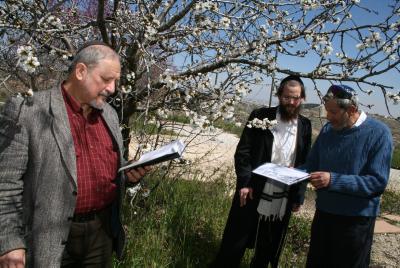 'בית הלל': להגיד את ברכת הגשמים עם ברכת האילנות