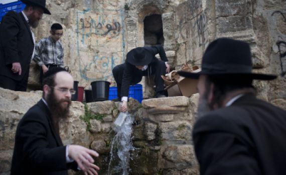 תמונות: שאיבת 'מים שלנו' ממעיין ליד ירושלים