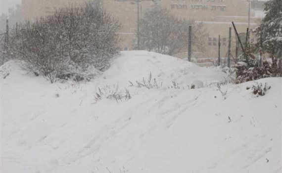 גלריית תמונות מהשלג בירושלים, חברון והשומרון