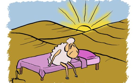 קריקטורה לכבוד שבת: פרשת כי תשא