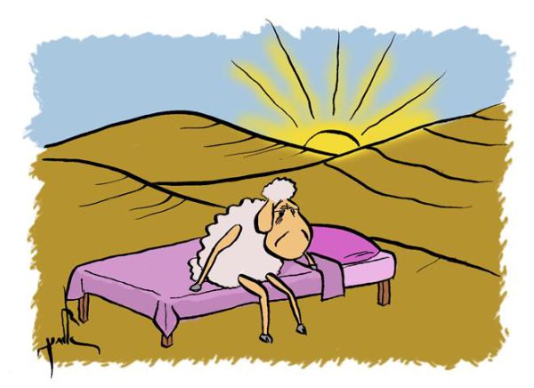 קריקטורה לכבוד שבת: פרשת כי תשא