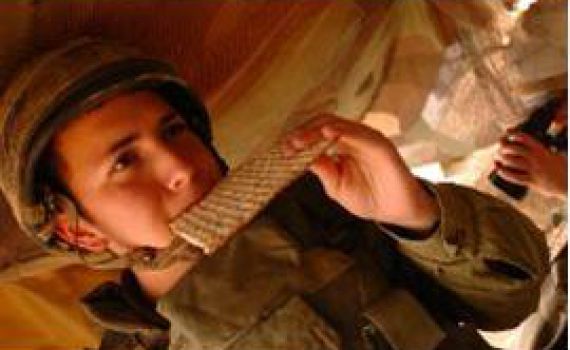 צבא אשכנזי: צה"ל כשר למהדרין ללא חשש קטניות