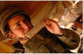 צבא אשכנזי: צה"ל כשר למהדרין ללא חשש קטניות