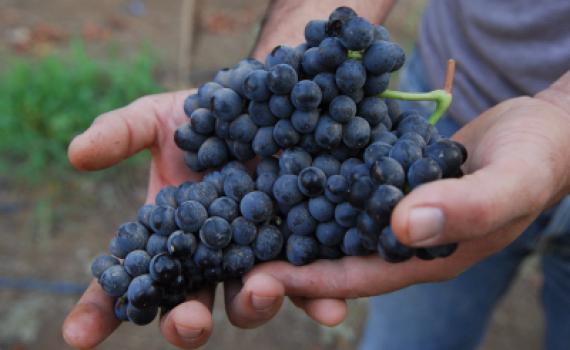תזכורת: לא לשכוח לעשות שני דברים בערב החג