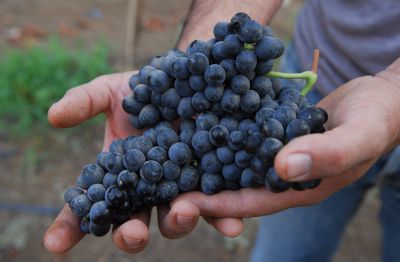 תזכורת: לא לשכוח לעשות שני דברים בערב החג