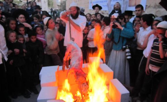 אם השנה נוכל להקריב קרבן פסח, ככה זה ייראה