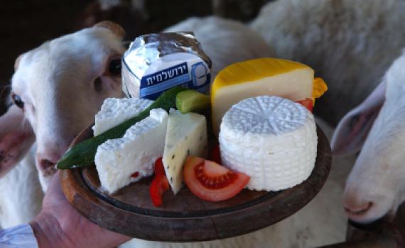 בית מלון בחג שבועות? תשכחו ממאכלי חלב בליל החג