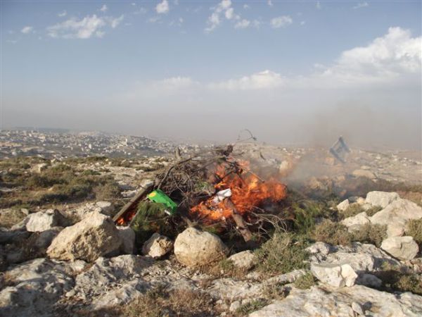אם יהיו כאן בתים, אפרת תהפוך לעיר