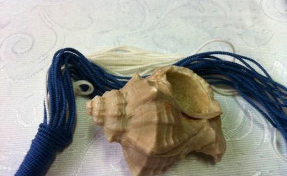 פרויקט שאפתני פועל להוזלת צבע התכלת לציצית