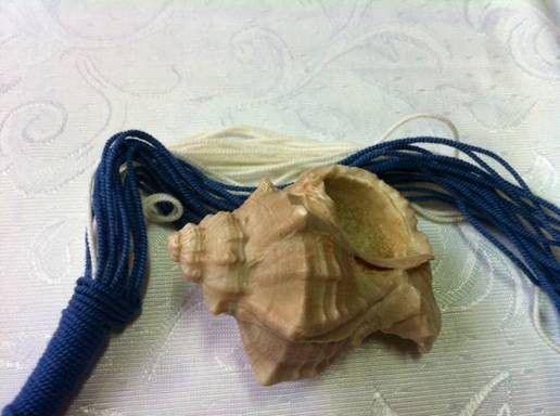 פרויקט שאפתני פועל להוזלת צבע התכלת לציצית