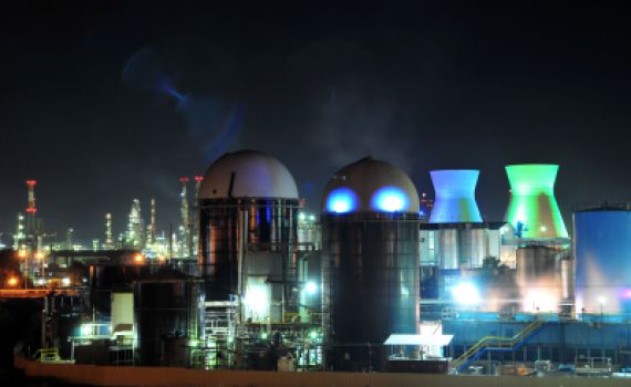 איכות הסביבה? כלכלה? גם לתורה יש עמדה בעניין