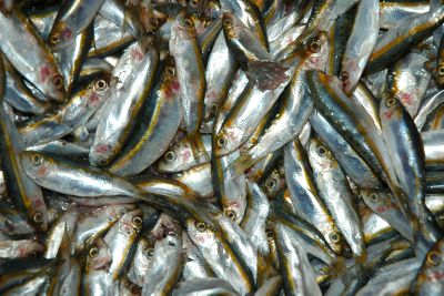 ערנותו של משגיח הכשרות הצילה את הסועדים מסרטן