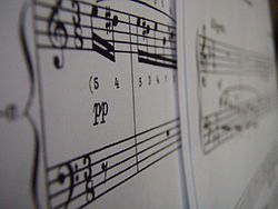 שיר (ווקאלי) לכבוד שבת: שתלתם בי ניגונים