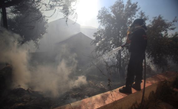 תיעוד השריפה בכניסה לירושלים; תושבים פונו מבתיהם