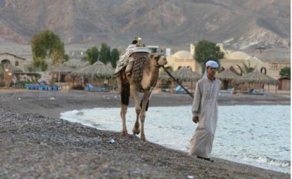 הרב אבינר: סיני הוא חלק מארץ ישראל אבל אסור לטייל שם