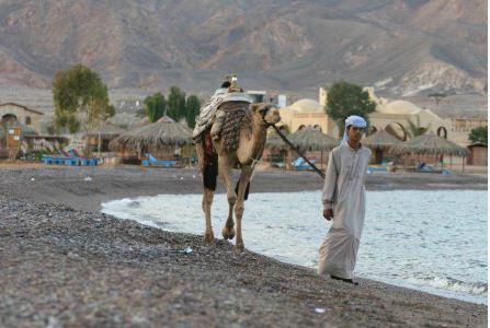 הרב אבינר: סיני הוא חלק מארץ ישראל אבל אסור לטייל שם