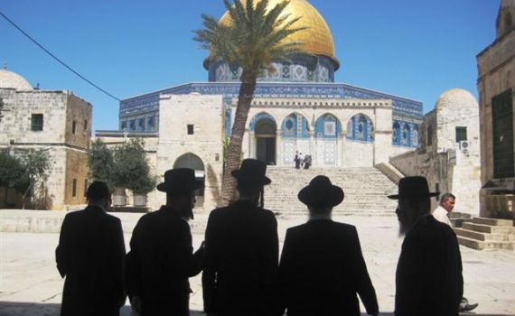 בניגוד להלכה: ערבים נוטעים עצים בהר הבית