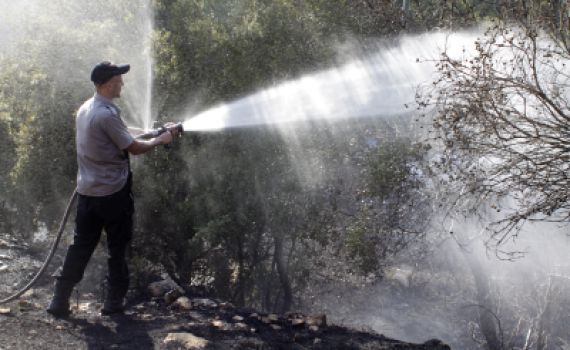 שתי שריפות ענק בהרי ירושלים ובכרמל; חשד להצתה