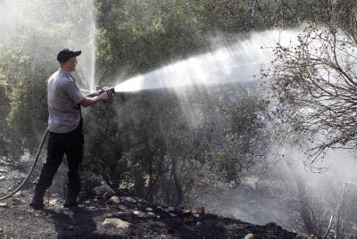 שתי שריפות ענק בהרי ירושלים ובכרמל; חשד להצתה
