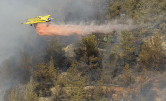 שוב שריפות בירושלים ובכרמל; חמישה בתים נשרפו בטבעון