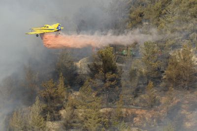 שוב שריפות בירושלים ובכרמל; חמישה בתים נשרפו בטבעון